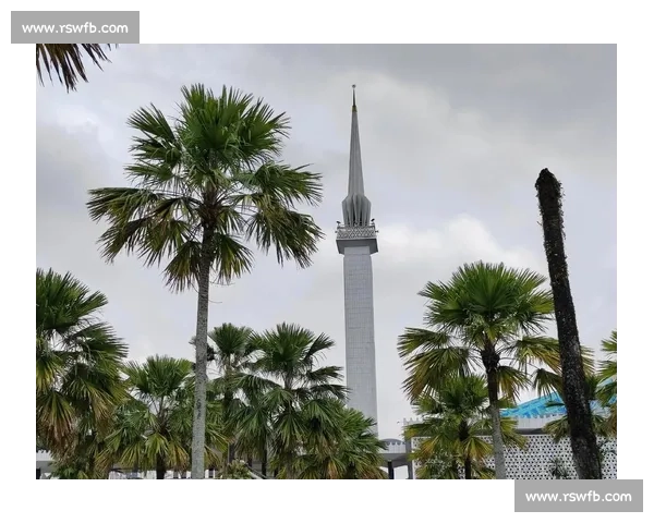 马来西亚对阵新加坡区域竞争与合作格局新观察背景趋势深度解析